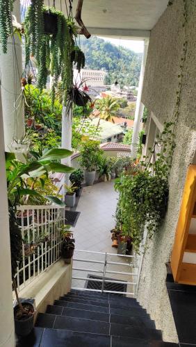 marvel hills kandy