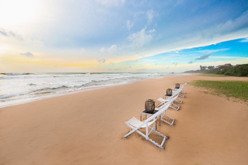 nyne hotels the muse bentota