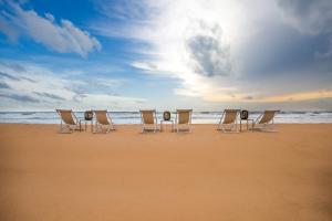 nyne hotels the muse bentota