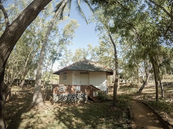 dambulla