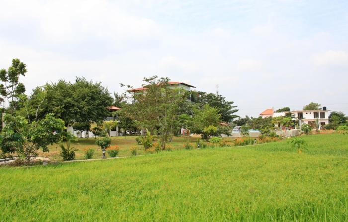 hotel freedom village