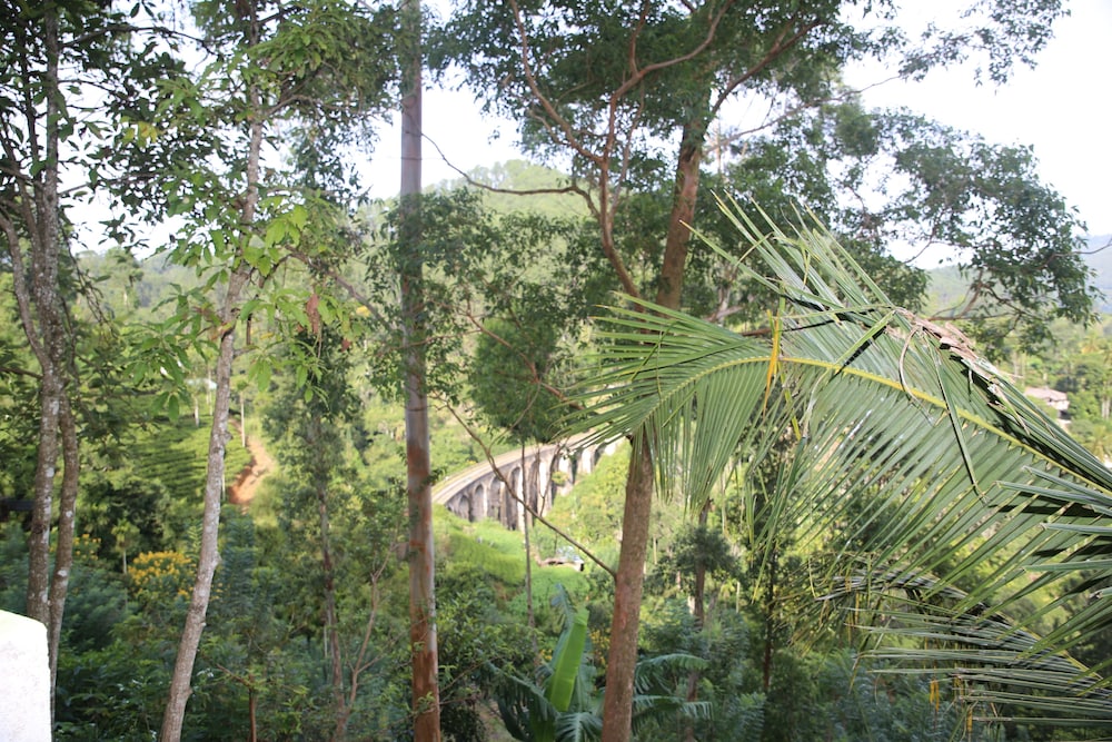 senevi 9 arch homestay