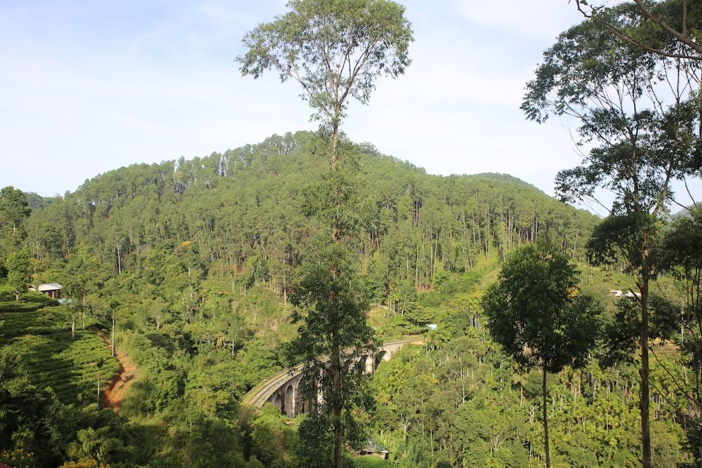 senevi 9 arch homestay