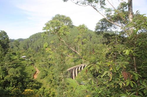 senevi 9 arch homestay