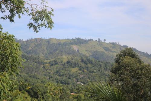 senevi 9 arch homestay