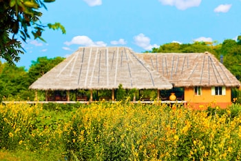 amuna ayurvedic retreat