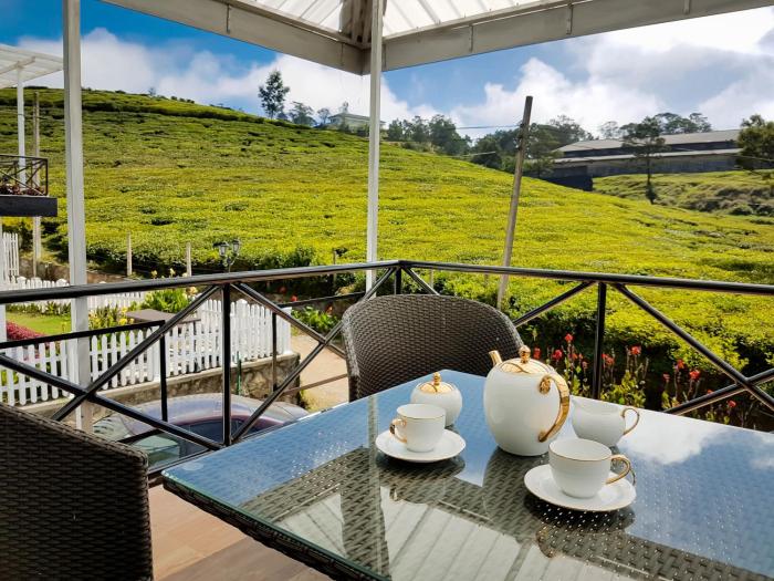 the tea garden