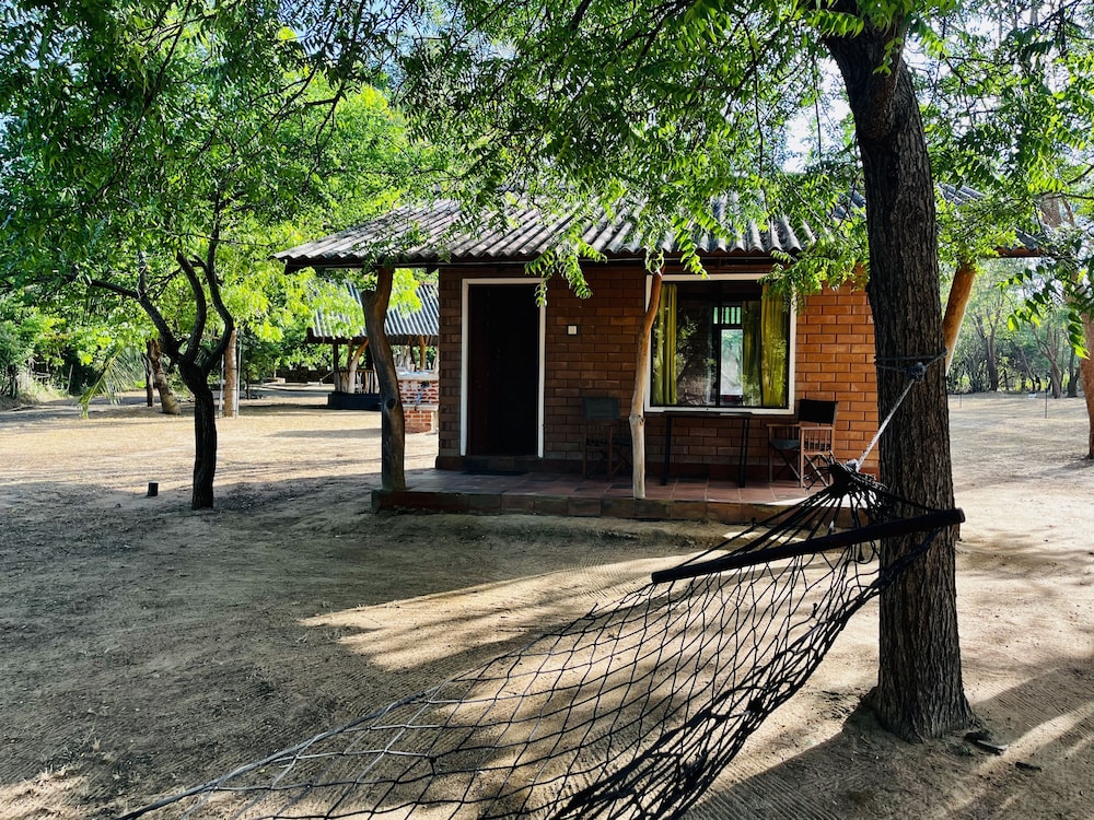 funky leopard safari lodge bordering yala national park hostel