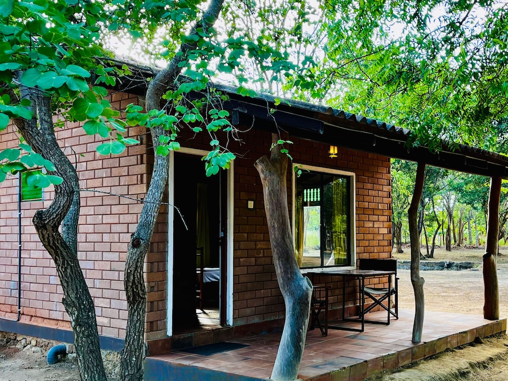 funky leopard safari lodge bordering yala national park hostel