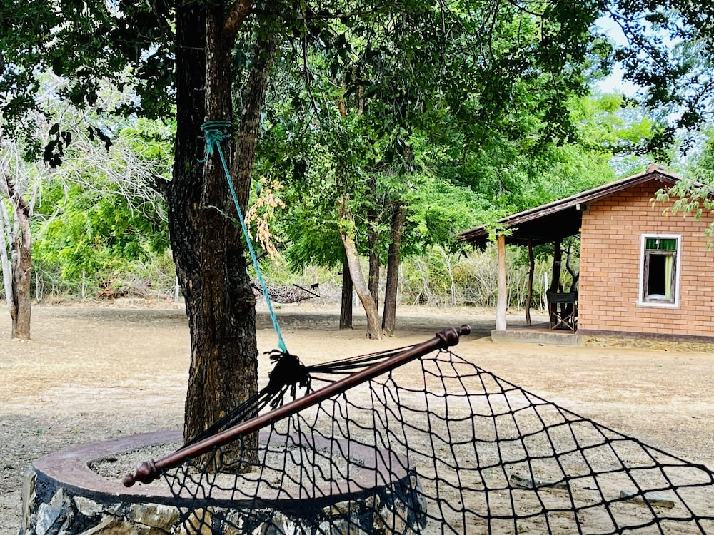 funky leopard safari lodge bordering yala national park hostel
