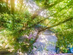 samadhi nature resort