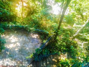 samadhi nature resort