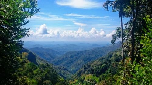 samadhi nature resort