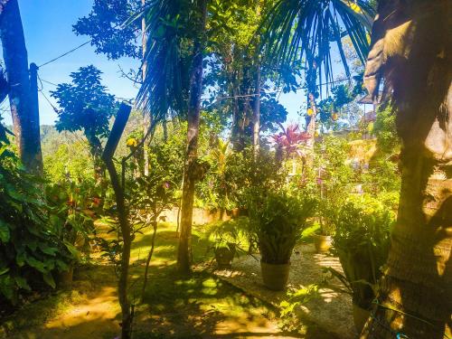 samadhi nature resort