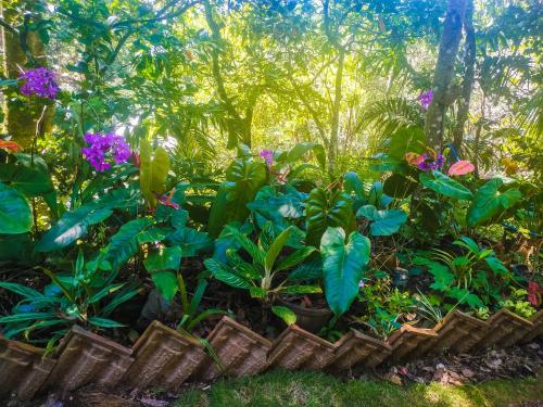 samadhi nature resort