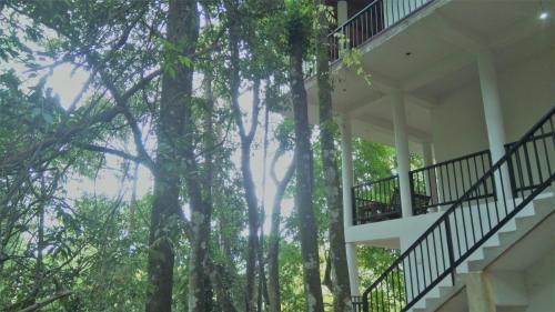 samadhi nature resort