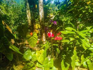 samadhi nature resort