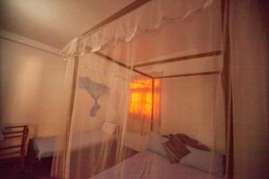 paradise beach house