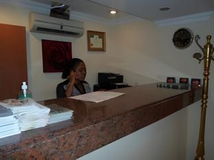 the ambassadors