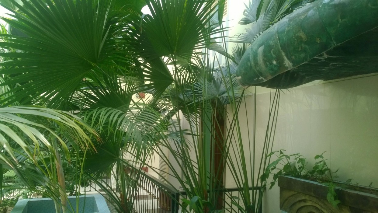 casa valleta guest house and apartments