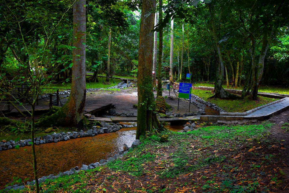 ikogosi warm springs