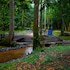 ikogosi warm springs