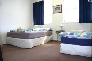 backpackers central hamilton