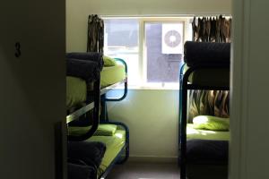backpackers central hamilton