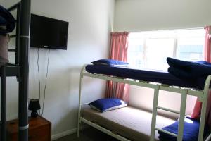 backpackers central hamilton