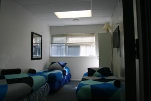 backpackers central hamilton