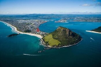 tauranga