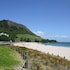 tauranga