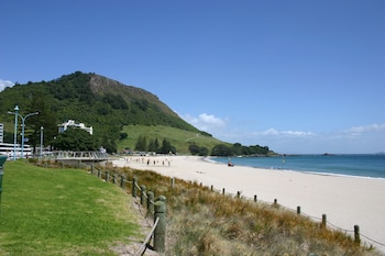 tauranga