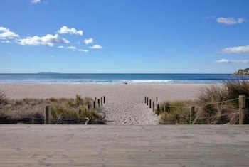 tauranga