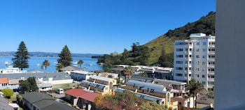 tauranga