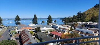 tauranga