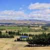 waipara