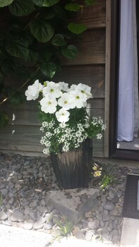 opua boutique seaview motel