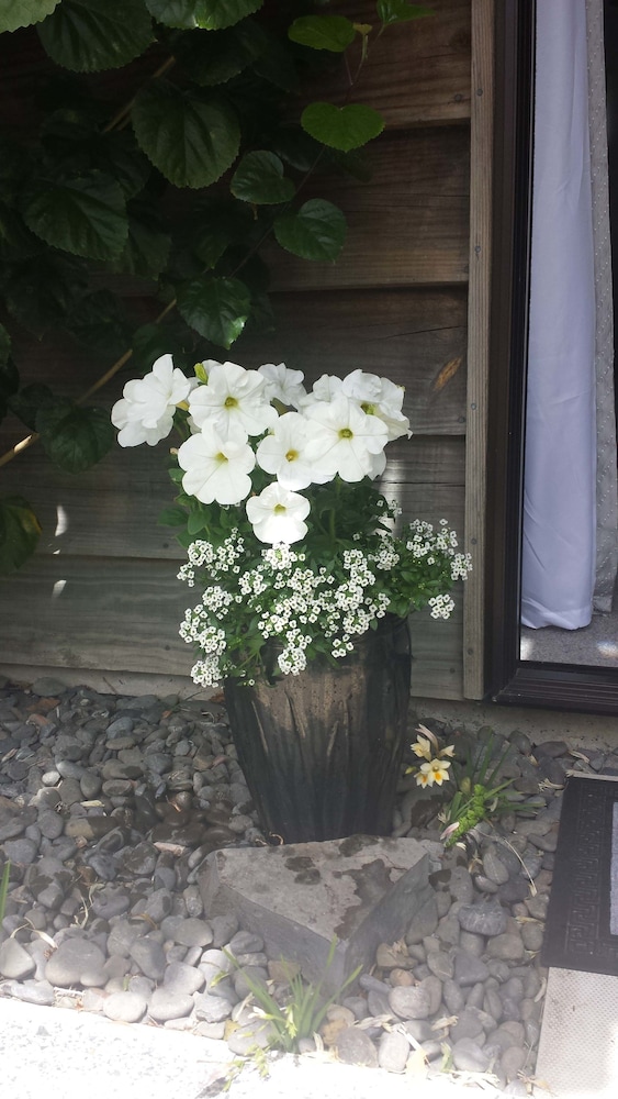 opua boutique seaview motel