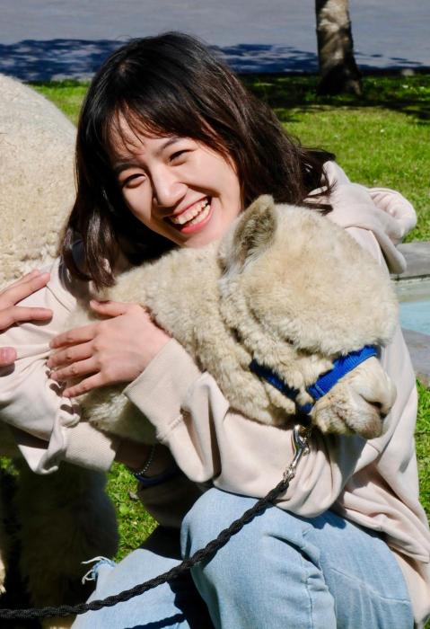 silverstream alpaca farmstay and tour