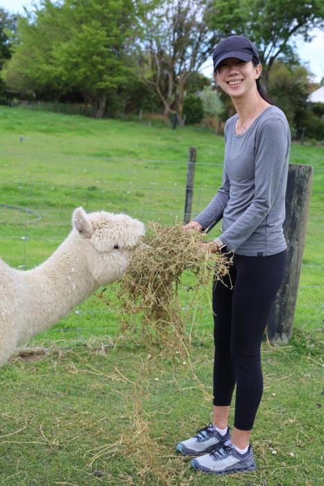 silverstream alpaca farmstay and tour