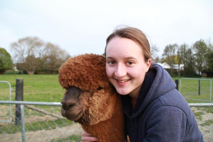 silverstream alpaca farmstay and tour