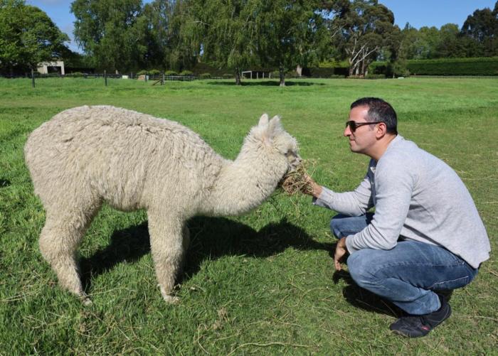 silverstream alpaca farmstay and tour