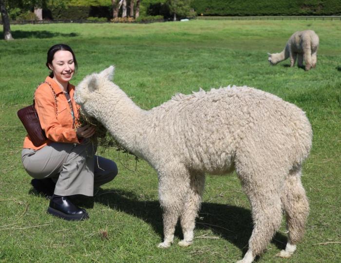 silverstream alpaca farmstay and tour