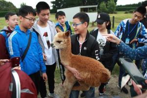 silverstream alpaca farmstay and tour