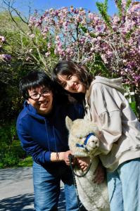 silverstream alpaca farmstay and tour