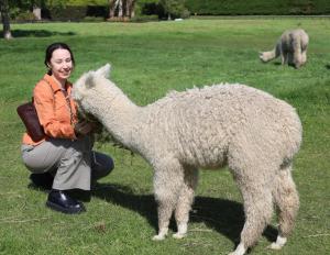 silverstream alpaca farmstay and tour