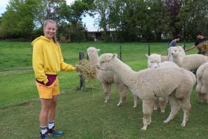silverstream alpaca farmstay and tour