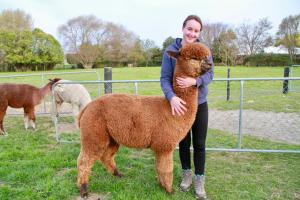 silverstream alpaca farmstay and tour