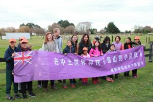 silverstream alpaca farmstay and tour